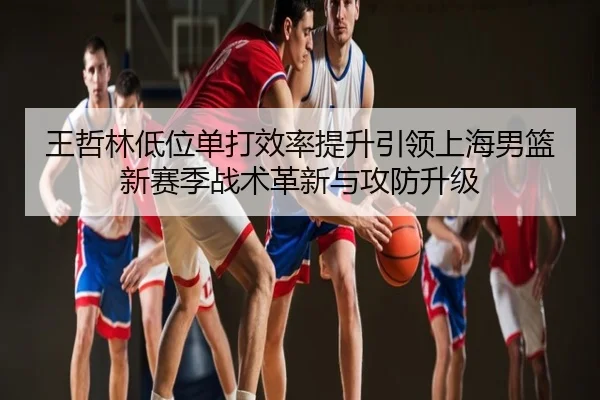 王哲林低位单打效率提升引领上海男篮新赛季战术革新与攻防升级